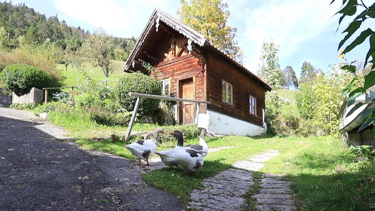 Haus Holler Lägenhet Wallgau Exteriör bild